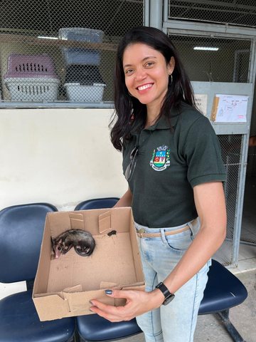 Resgate de Fauna Silvestre no Centro