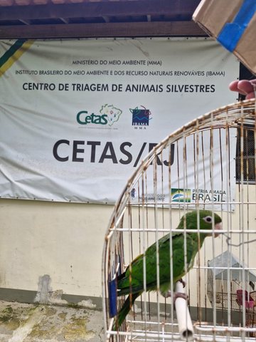 Resgate de Gambá e Maritaca