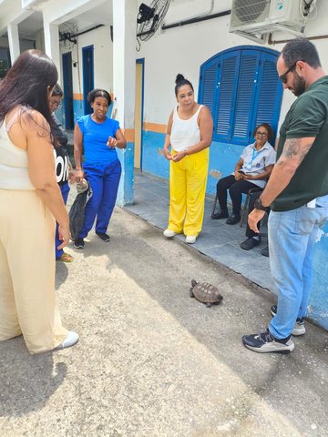 Resgate de Jiboia em Marapicu