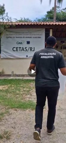 Entrega Voluntária de Jabuti na SEMAM