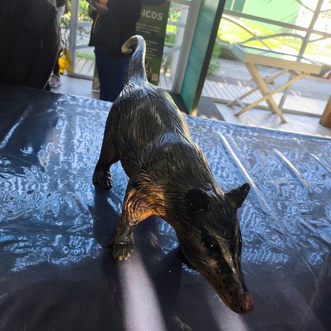 Visita Técnica — Parque Estadual do Cunhambebe