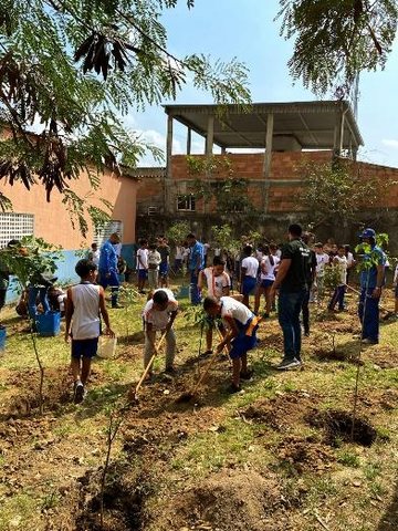 Balanço do 1º Semestre — Protetores Mirins