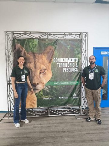 Balanço do 1º Semestre — Protetores Mirins