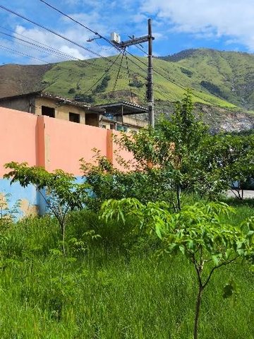 Balanço do 1º Semestre — Protetores Mirins